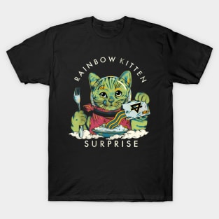 Rainbow Kitten Surprise T-Shirt